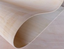 Фанера гибкая Сейба (Продольная) 5мм*1220*2500