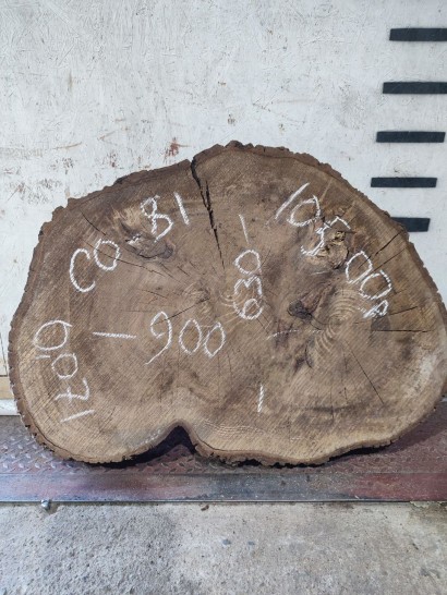 Спил СО-81 Орех 900*630*100