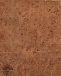 Шпон корень Вяза 0,6 А