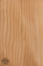 Шпон Кедр Ливанский 0,6 А