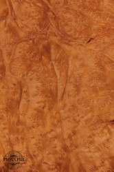 Шпон корень Мандрона 0,6 А