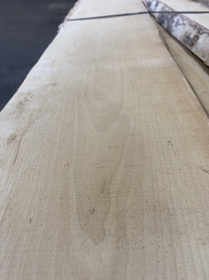 Доска столярная. Береза. Длина 2 - 3,2 м, толщина 50 мм